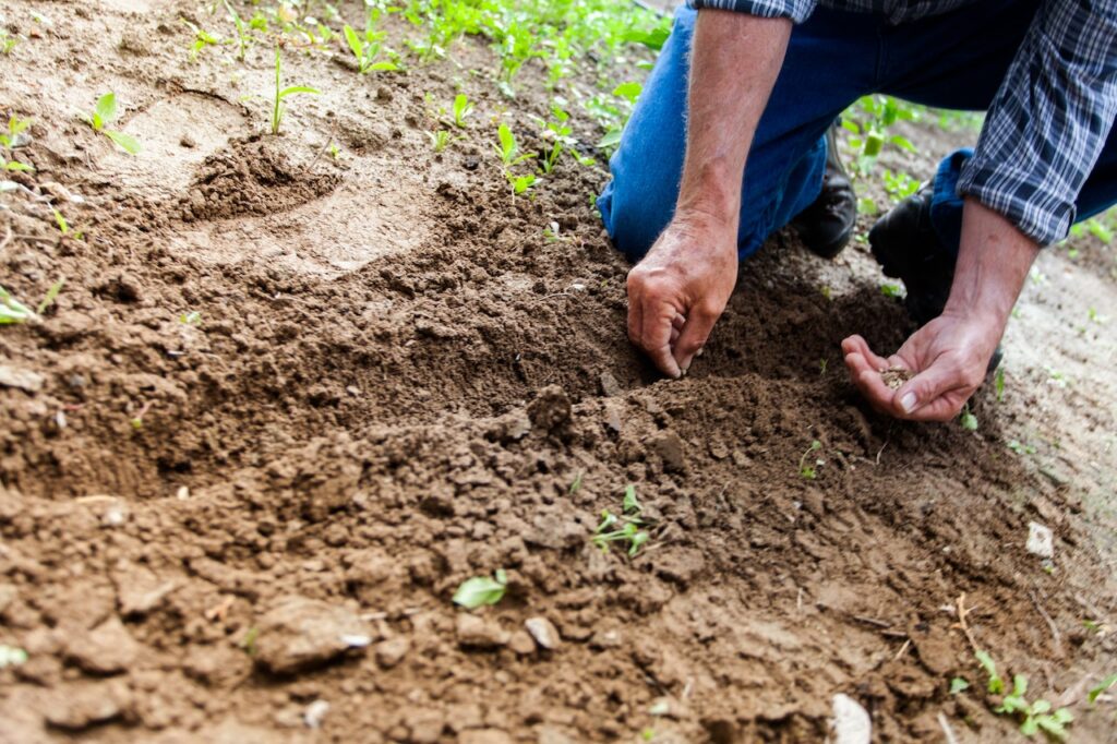 Lawn Aeration in Colorado Springs Co