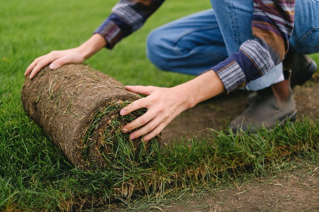 Sod Installation in Colorado Springs Co